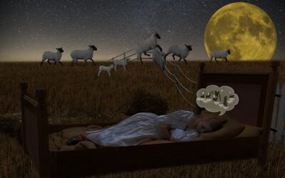 Insomnie, Sommeil, Dormez-vous ?